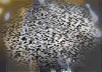 /uploadfile/2025/0225/20250225091101716.jpg