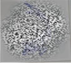 /uploadfile/2025/0604/20250604102059339.jpg